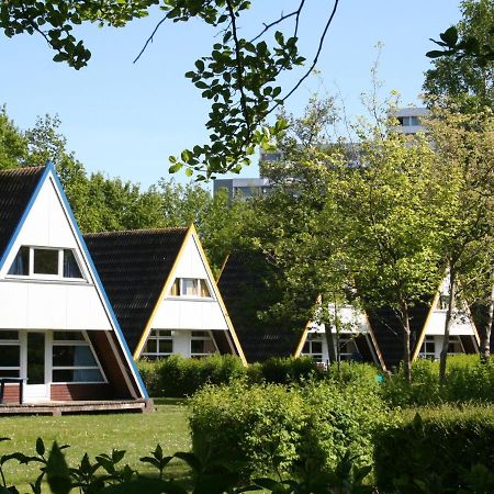 Ferienhaus Im Ostseeresort Dampland Ngoại thất bức ảnh